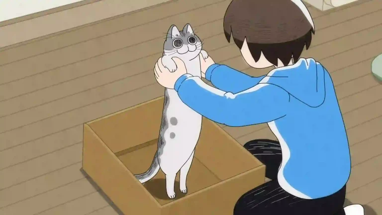 Unveiling the Adorable Secrets of Nights with a Cat: Episode 18 Preview and Cast Revealed